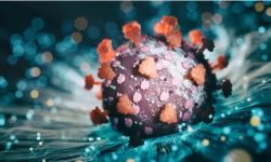 كابوس كورونا يطل برأسه.. اكتشاف صيني لفيروس جديد مصدره الخفافيش!